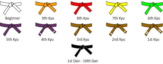 Grade karaté on sale shotokan